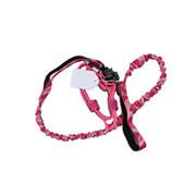 Collar & Rope (Medium)