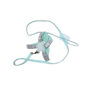 Harness & Leash (Extra Leash)